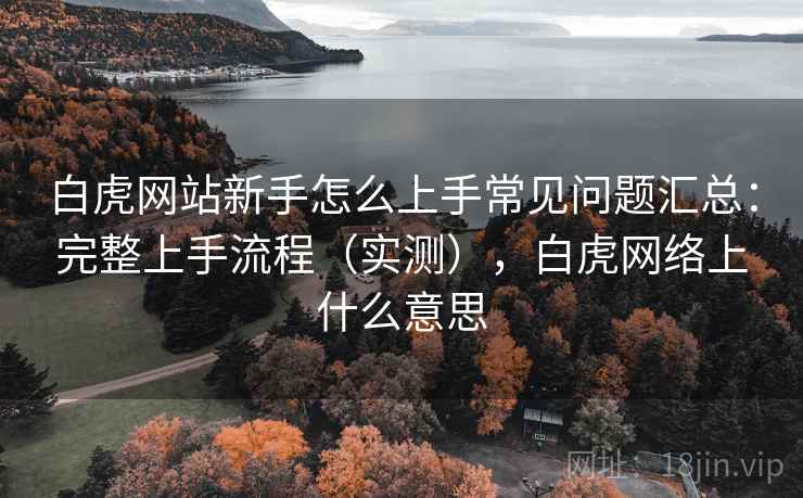 白虎网站新手怎么上手常见问题汇总：完整上手流程（实测），白虎网络上什么意思