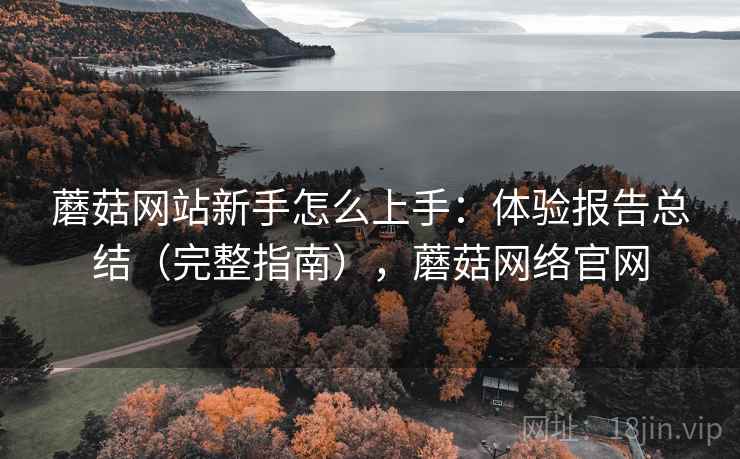 蘑菇网站新手怎么上手：体验报告总结（完整指南），蘑菇网络官网