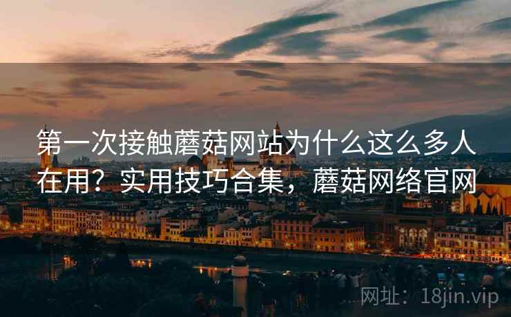 第一次接触蘑菇网站为什么这么多人在用？实用技巧合集，蘑菇网络官网