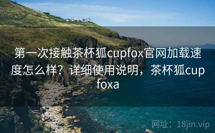 第一次接触茶杯狐cupfox官网加载速度怎么样？详细使用说明，茶杯狐cupfoxa