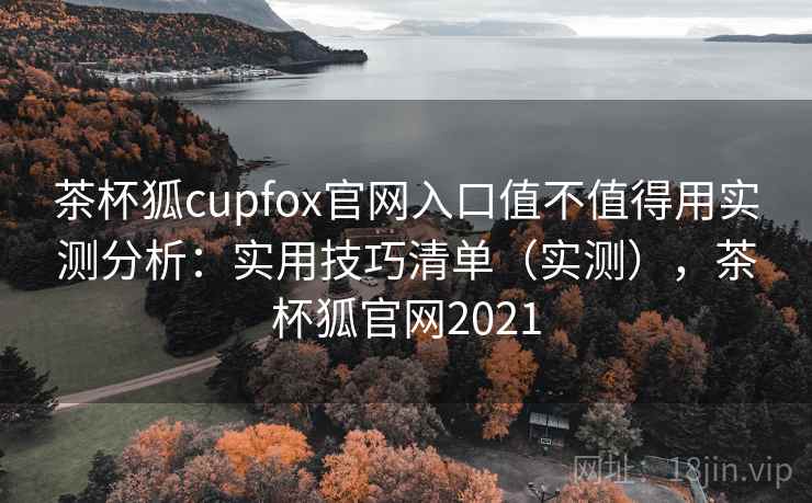 茶杯狐cupfox官网入口值不值得用实测分析：实用技巧清单（实测），茶杯狐官网2021