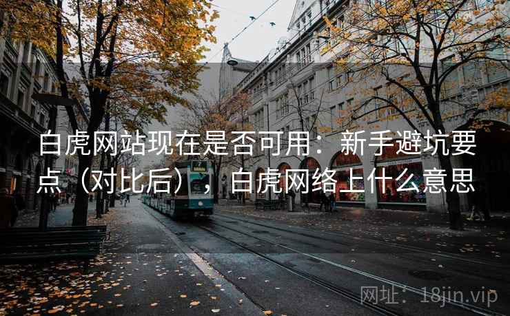 白虎网站现在是否可用：新手避坑要点（对比后），白虎网络上什么意思