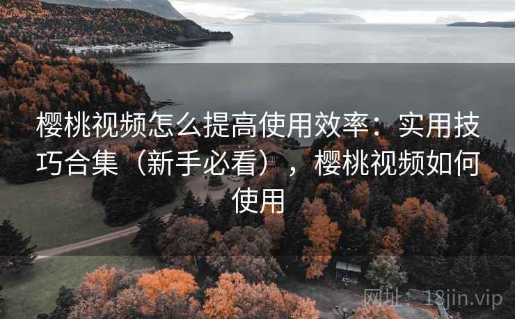 樱桃视频怎么提高使用效率：实用技巧合集（新手必看），樱桃视频如何使用