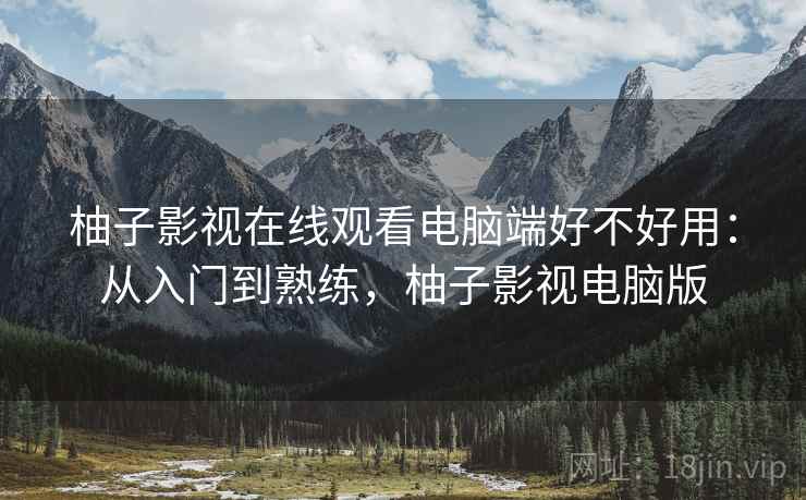 柚子影视在线观看电脑端好不好用：从入门到熟练，柚子影视电脑版