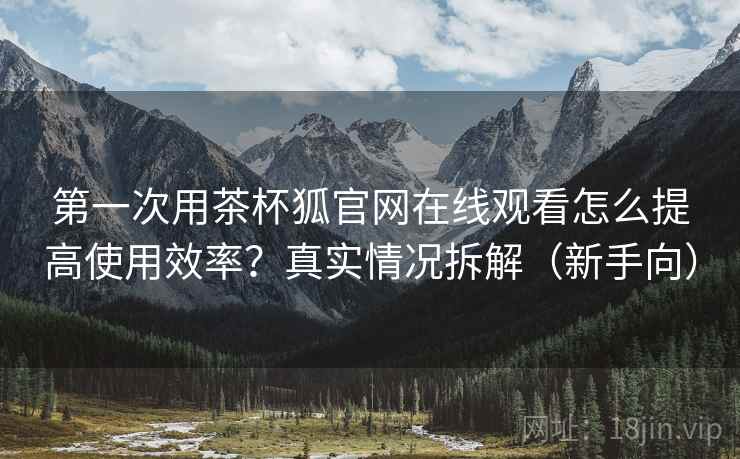 第一次用茶杯狐官网在线观看怎么提高使用效率？真实情况拆解（新手向）