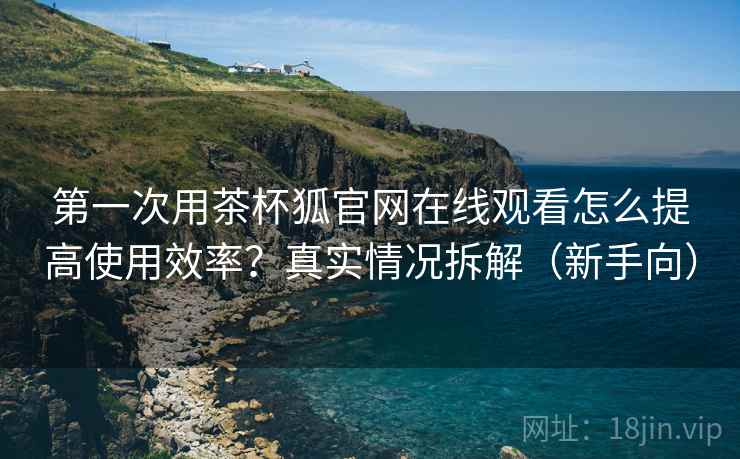 第一次用茶杯狐官网在线观看怎么提高使用效率？真实情况拆解（新手向）