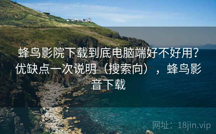 蜂鸟影院下载到底电脑端好不好用？优缺点一次说明（搜索向），蜂鸟影音下载