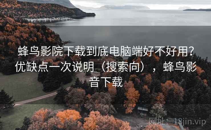 蜂鸟影院下载到底电脑端好不好用？优缺点一次说明（搜索向），蜂鸟影音下载